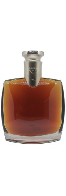 Cognac CAMUS - Extra Elegance - Jarra - 40% opinión mejor precio buen vino comerciante burdeos