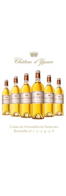 Château D'YQUEM - Le Sauternes - Estuche mixto 6 botellas - Lote n ° 1 + n ° 2 + n ° 3 + n ° 4 + n ° 5
