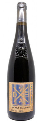 Domaine Saint Vincent - Pierre Adrien Vade - Trezellieres 2020