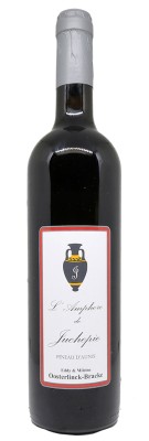 Domaine de Juchepie - L'Amphore de Juchepie - Pineau d'Aunis 2020