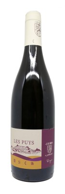 Domaine Pascal Lambert - Chinon - Les Puys 2017