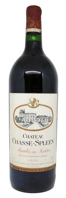 Château Chasse-Spleen - Magnum 1995