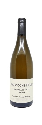 Domaine Pierre Boisson (Boisson Vadot) - Bourgogne - Les Belles Côtes 2019