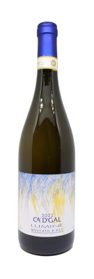 Ca'D'Gal - Lumine - Moscato d'Asti 2022