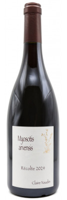 domaine Naudin-Ferrand - Myosotis Arvensis 2024
