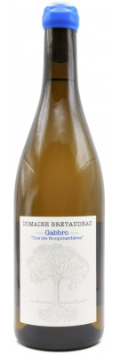 Jérôme Bretaudeau - Domaine de Bellevue - Clos des Bouquinardières 2024
