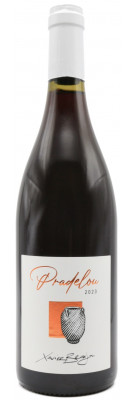 La Terrasse d'Elise - Pradelou 2023