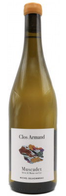 Les Vignes Saint Vincent - Michel Delhommeau - Clos Armand 2023