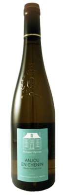 Y Chenin Bio OGEREAU 2015