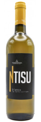 Terredonda - Ntisu Bianco 2024