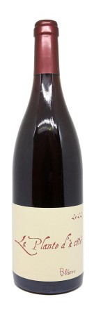 Binaume - Claire Naudin - La Plante d'à Côté 2022