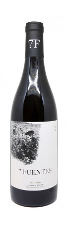 Suertes del Marques - 7 Fuentes 2020