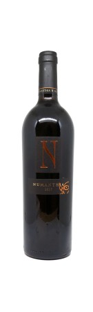 Bodega Numanthia 2017