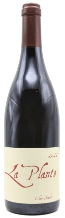 Binaume - Claire Naudin - La Plante d'à Côté 2022