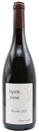 domaine Naudin-Ferrand - Myosotis Arvensis 2024