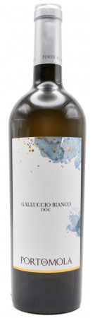 Porto di Mola - Galluccio Bianco 2024