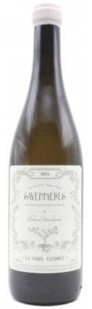 Thibaud Boudignon - Savennières - La Vigne Cendrée 2023