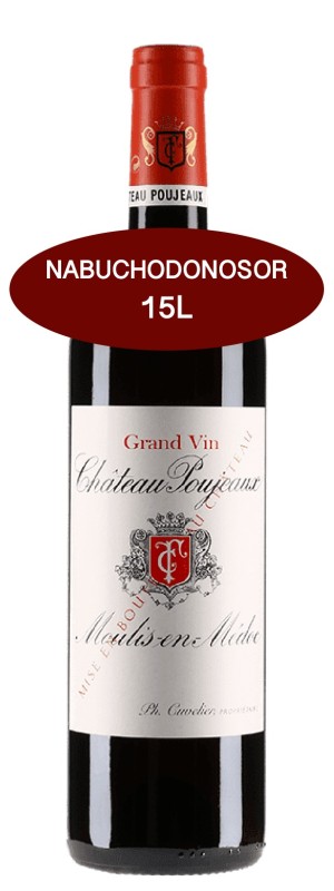 Château POUJEAUX 2011 - Nabuchodonosor 15L This high-level wine is located in the Grand Poujeaux area, a magnificent gravelly hill with a clay-limestone subsoil. It has belonged to the Cuvelier family since 2008, already owner of Château Clos Fourtet in Saint-Emilion. Matthieu Cuvelier manages the estate, with the support of Christophe Labenne. The brilliant consultant Stéphane Derenoncourt follows the vinifications. The 65 hectare vineyard has 50% Cabernet-Sauvignon, with a significant portion of Merlot (40%) and the rest in Petit Verdot and Cabernet Franc. Poujeaux is a charming and voluminous wine, with coated tannins, easy to drink from its youth.