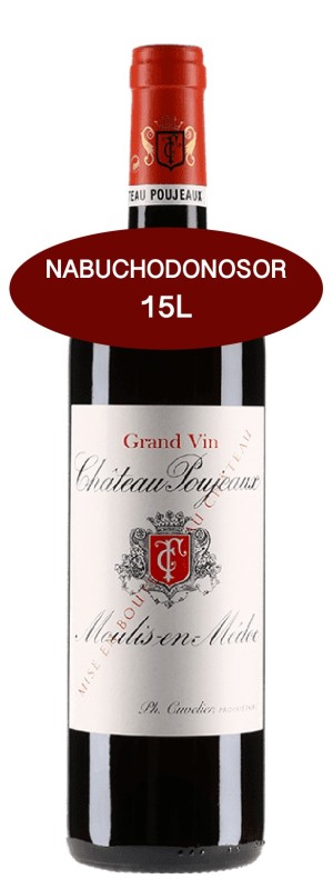 Château POUJEAUX 2011 - Nabuchodonosor 15L Ce cru de haut niveau se trouve sur le secteur du Grand Poujeaux, une magnifique croupe graveleuse au sous-sol argilo-calcaire. Il appartient à la famille Cuvelier depuis 2008, déjà propriétaire du Château Clos Fourtet à Saint-Emilion. Matthieu Cuvelier dirige le domaine, avec l'appui de Christophe Labenne. Le brillant consultant Stéphane Derenoncourt suit les vinifications. Le vignoble de 65 hectares compte 50% de cabernet-sauvignon, avec une part importante de merlot (40%) et le reste en petit verdot et en cabernet franc. Poujeaux est un vin charmeur et volumineux, aux tanins enrobés, facile à boire dès sa jeunesse.